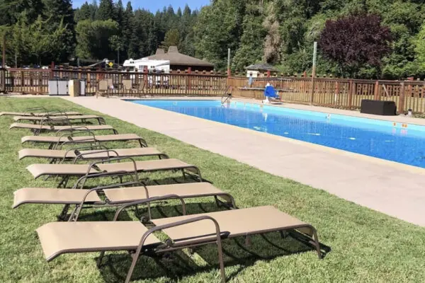 Lounge Chairs By The pool