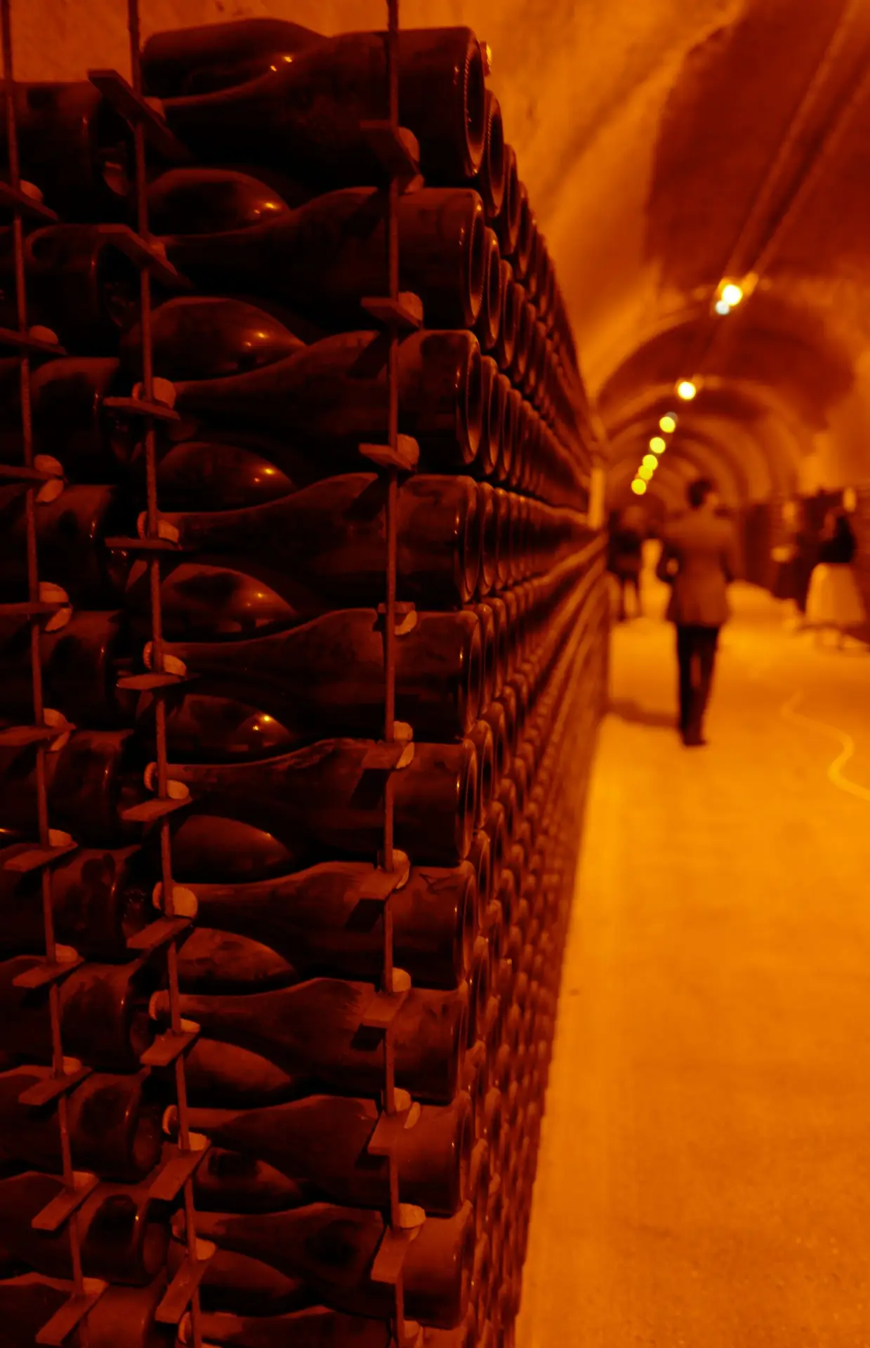 Champagne Cellar