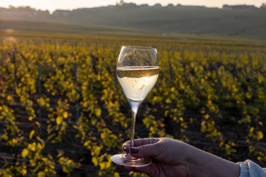 Tasting of grand cru sparkling brut white wine champagne on sunny vineyards of Cote des Blancs in village Cramant, Champagne, France, glass of wine