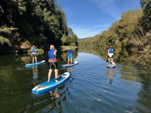 People Kayaking on the river