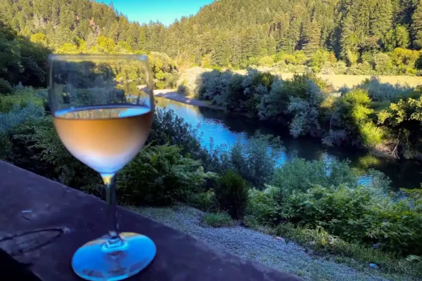 Glass of Wine with Tree and Wine in Background
