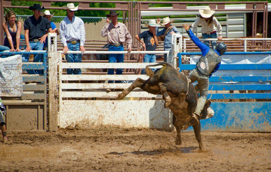 Person riding a bull at a rodeo
